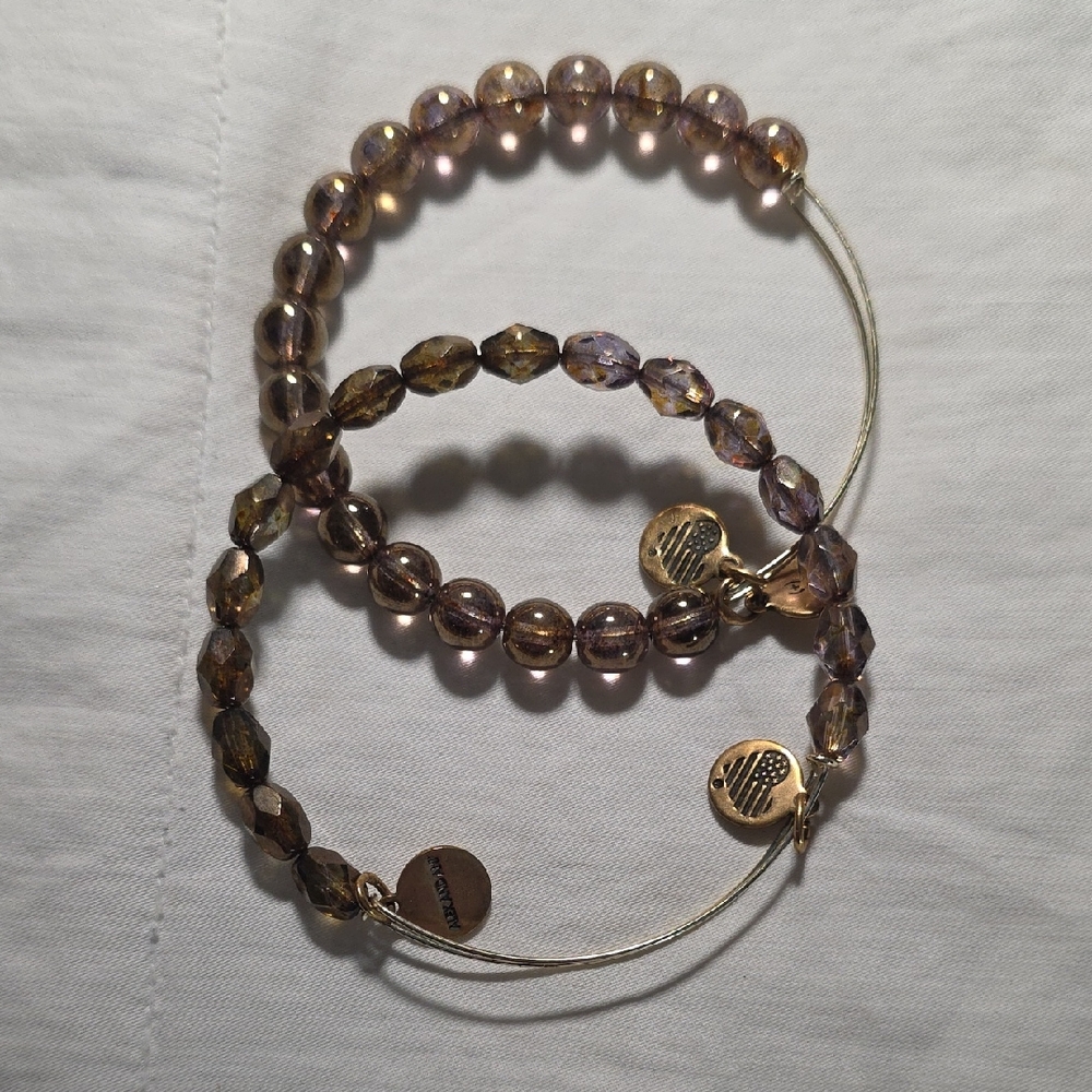 Alex and Ani Brown and Gold Bracelet Duo